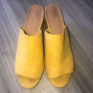 New York & Company yellow mules